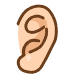 耳の形