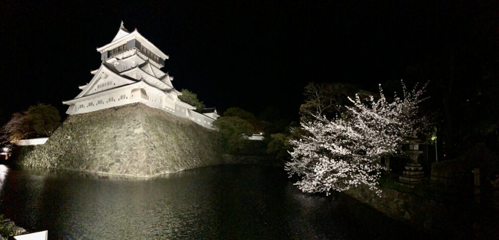 福岡県の有名桜スポット
